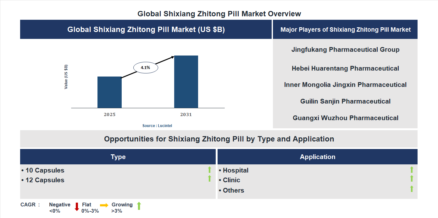Shixiang Zhitong Pill Market Trends and Forecast Shixiang Zhitong Pill Market Trends and Forecast
